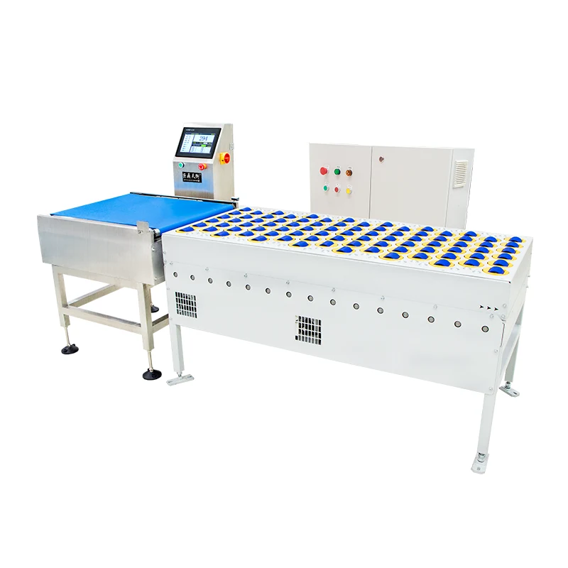 Rejecting Belt Weigher